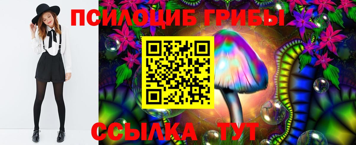 Псилоцибиновые грибы Magic Shrooms  купить наркотики цена  Псилоцибиновые грибы прущие грибы  Дубна  Вход с VPN 